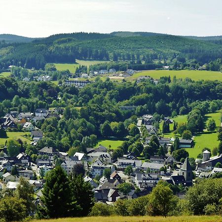 Ferienhaus Diemelquelle - Mit Eingezaeuntem Garten Willingen  Zewnętrze zdjęcie