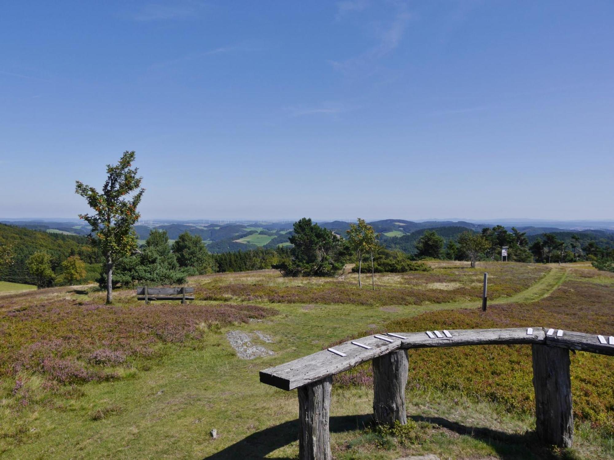 Ferienhaus Diemelquelle - Mit Eingezaeuntem Garten Willingen  Zewnętrze zdjęcie