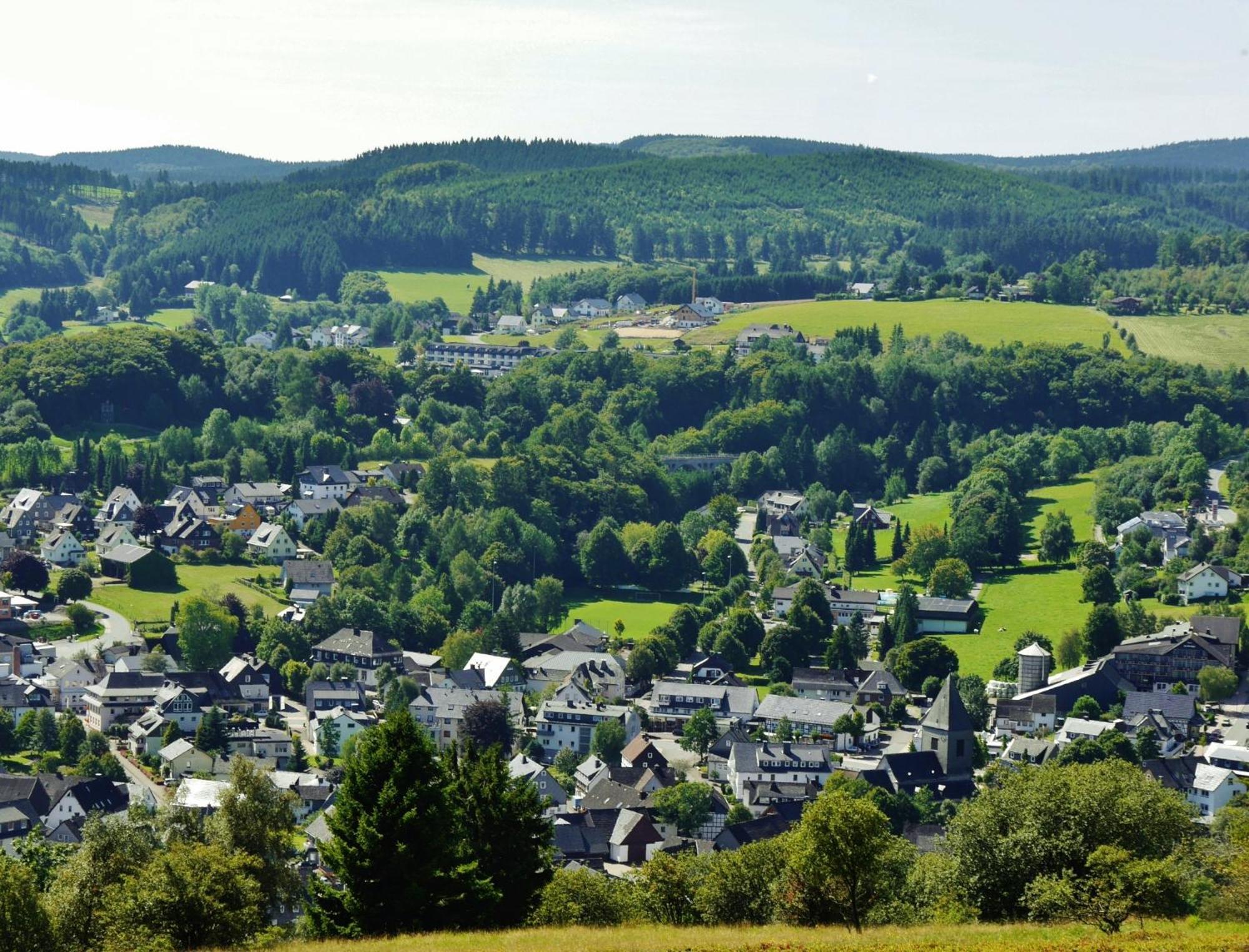 Ferienhaus Diemelquelle - Mit Eingezaeuntem Garten Willingen  Zewnętrze zdjęcie