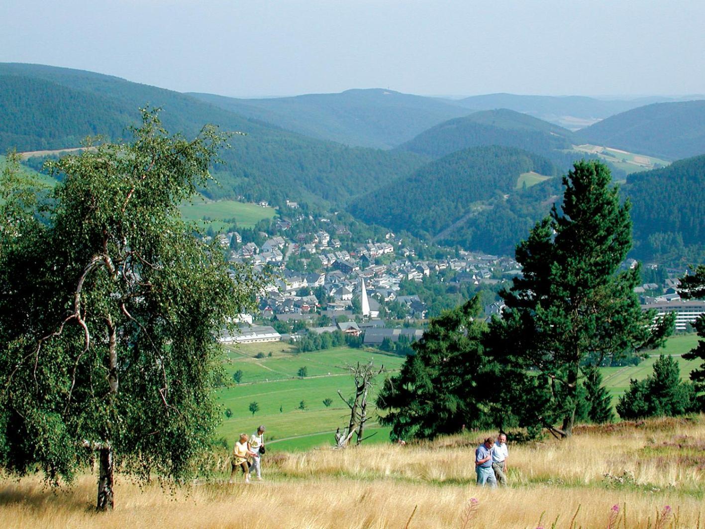 Ferienhaus Diemelquelle - Mit Eingezaeuntem Garten Willingen  Zewnętrze zdjęcie